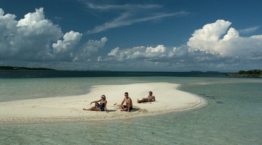 Click to See Next Image